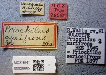Media type: image;   Entomology 26665 Aspect: labels